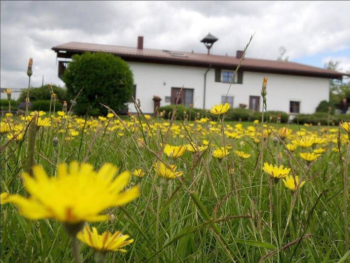 Ferienwohnung für 2 Personen, mit Garten in Mauth