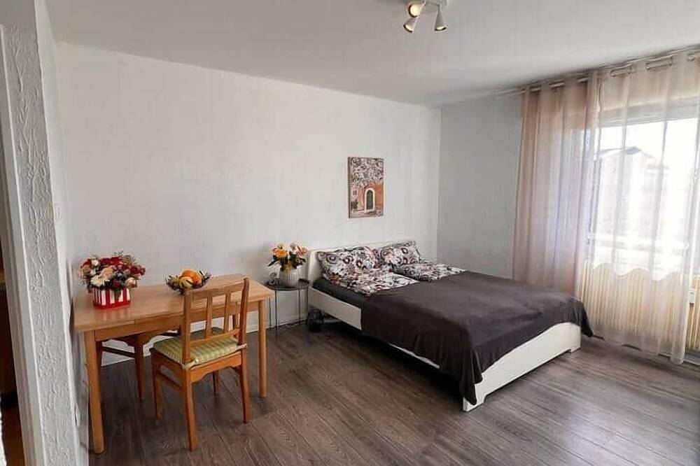 Appartamento intero, Charming Studio by the Rhine/ Ch/ Novartis Campus in Huningue, Mulhouse e dintorni