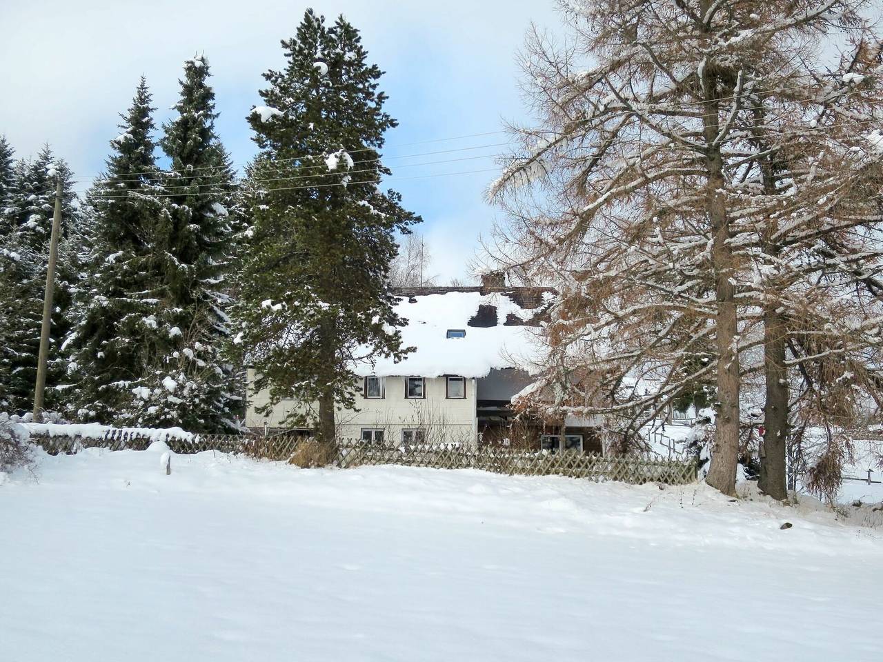 Ganze Wohnung, Feldberg 608 - Blechnerhof 608.1 in Falkau (Feldberg), Feldberg