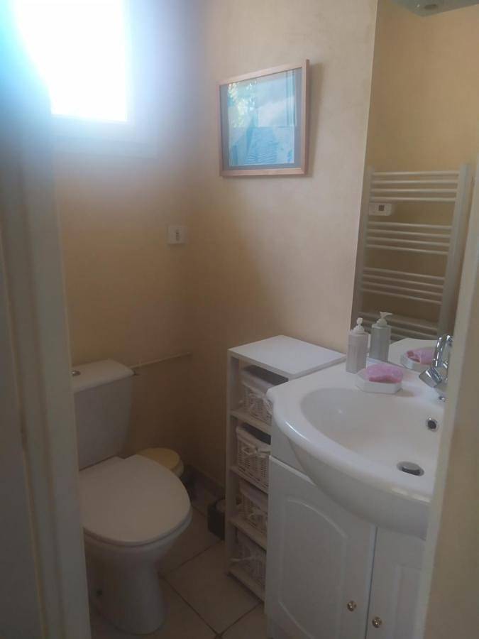 Location de vacances pour 2 personnes, avec terrasse, animaux acceptés à La Guerche-sur-l'Aubois - 3