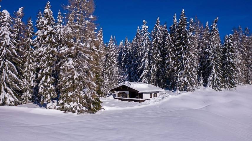 Ferienhaus für 4 Personen, mit Garten, mit Haustier in Reith im Alpbachtal