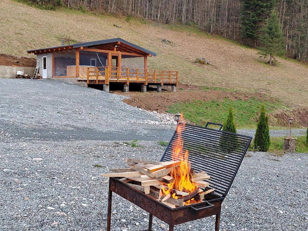 Pensiunea Izbucul Tauz in Alba (Romania)