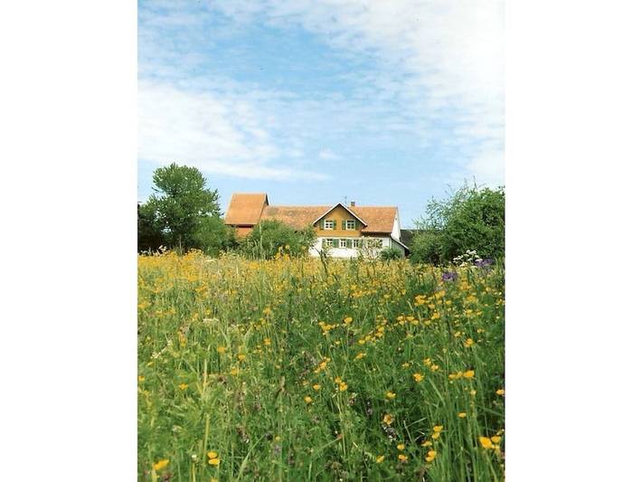 Ferienhaus mit 1 Schlafzimmer in Wutach, Südschwarzwald