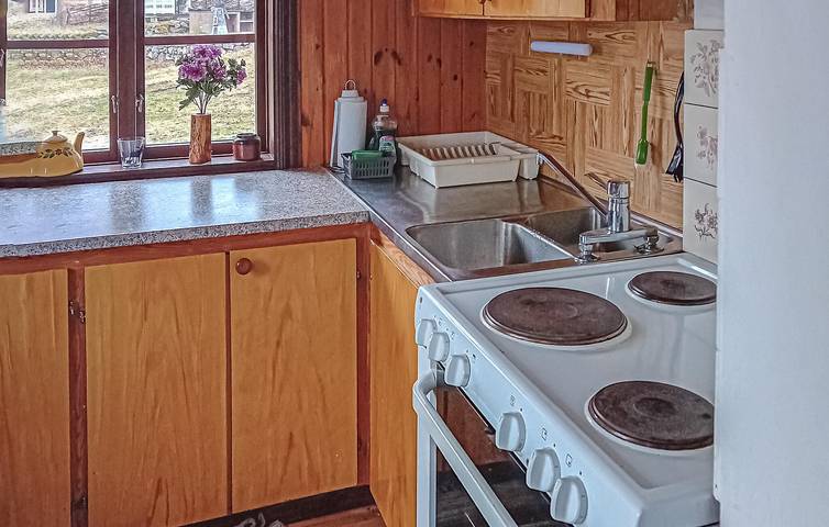 Ferienhaus für 4 Personen mit Sauna in Högsby