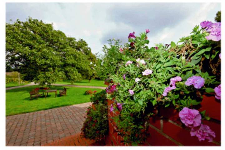 B&B für 4 Personen, mit Garten auf Rügen