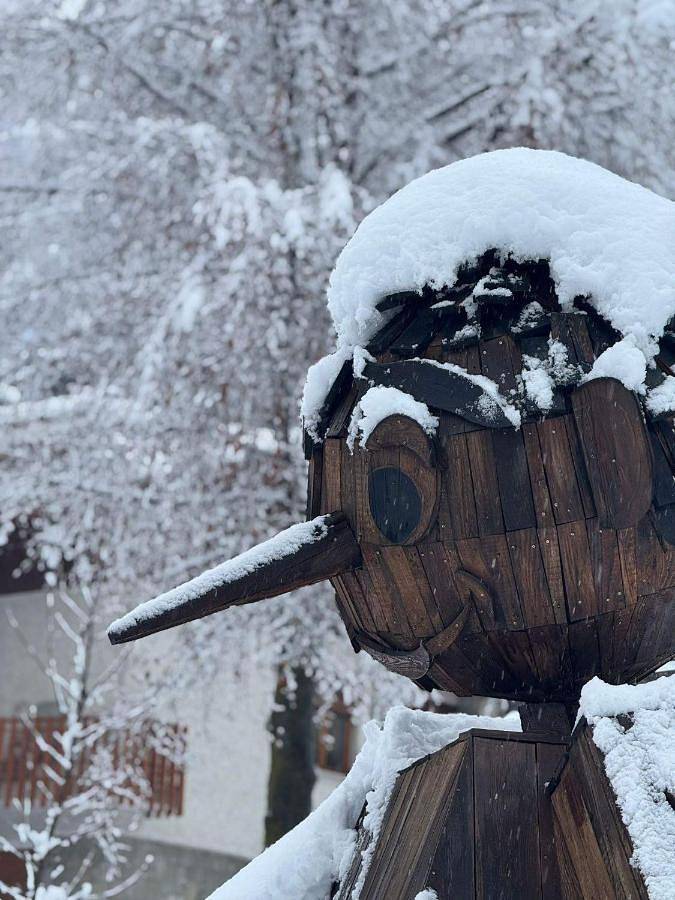 Location de vacances pour 2 personnes, avec jardin ainsi que balcon et vue à Vernante - 4