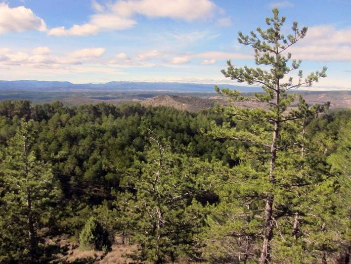 Apartamento de vacaciones para 4 personas, con vistas y balcón en Gúdar-Javalambre - 3