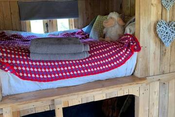 Glamping for 4 People in Sway, New Forest National Park, Photo 4