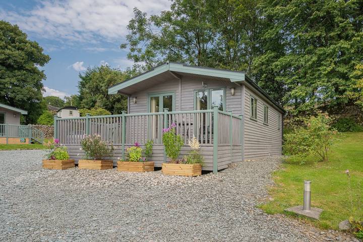 High Borrans, Spinney in Lake District