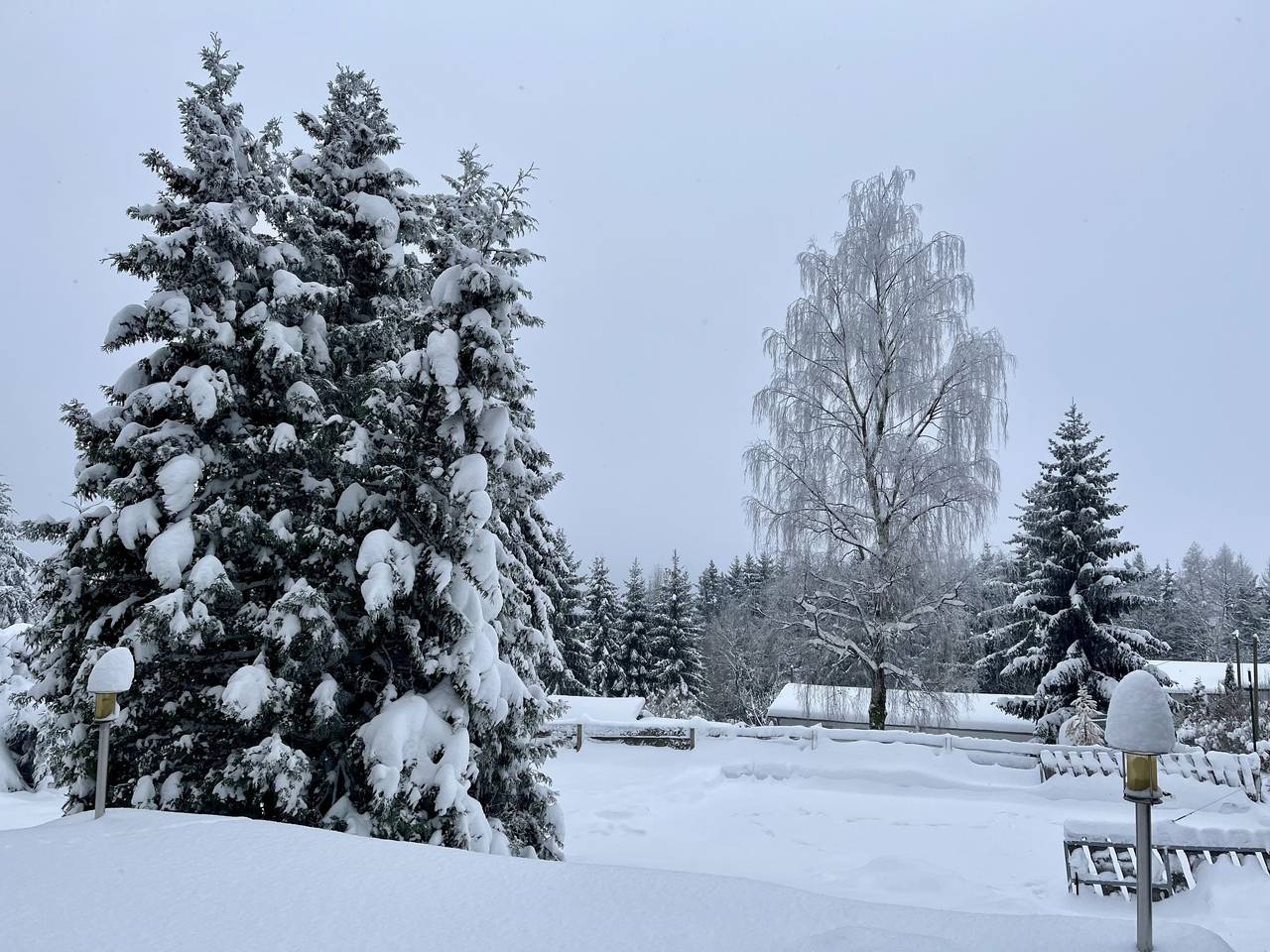 Alwin in Goldlauter - Heidersbach, Suhl