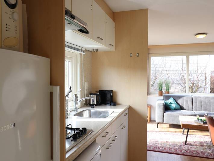 Ferienhaus für 5 Personen, mit Sauna und Garten sowie Terrasse, mit Haustier auf Ameland - 4