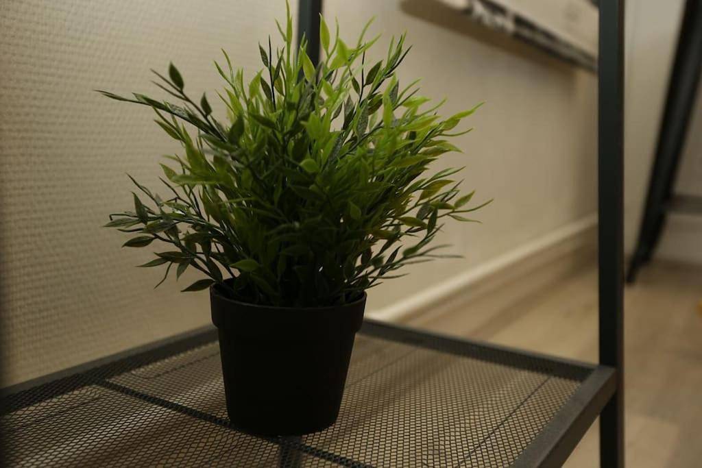Appartement entier, One-Bedroom Apartment in Chamalières, Parc naturel régional des Volcans d'Auvergne