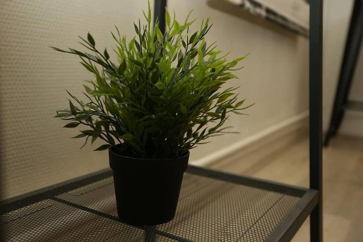 Gîte pour 4 personnes, animaux acceptés à Chamalières - 3