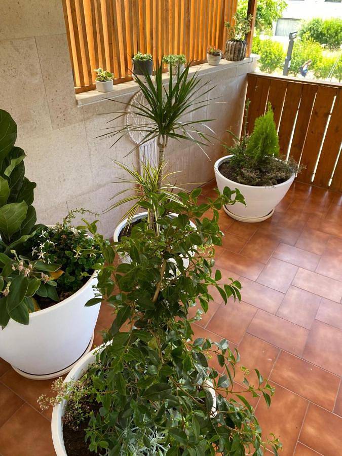 Gîte pour 9 personnes, avec vue et terrasse dans Pombal - 3