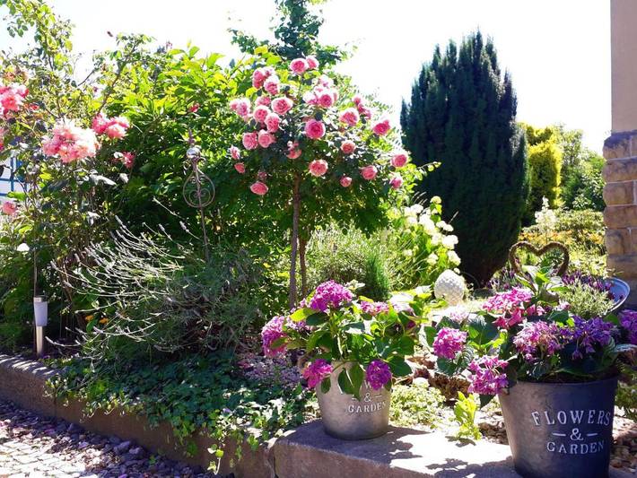 Ferienwohnung für 3 Personen, mit Ausblick und Garten in Prohlis - 3