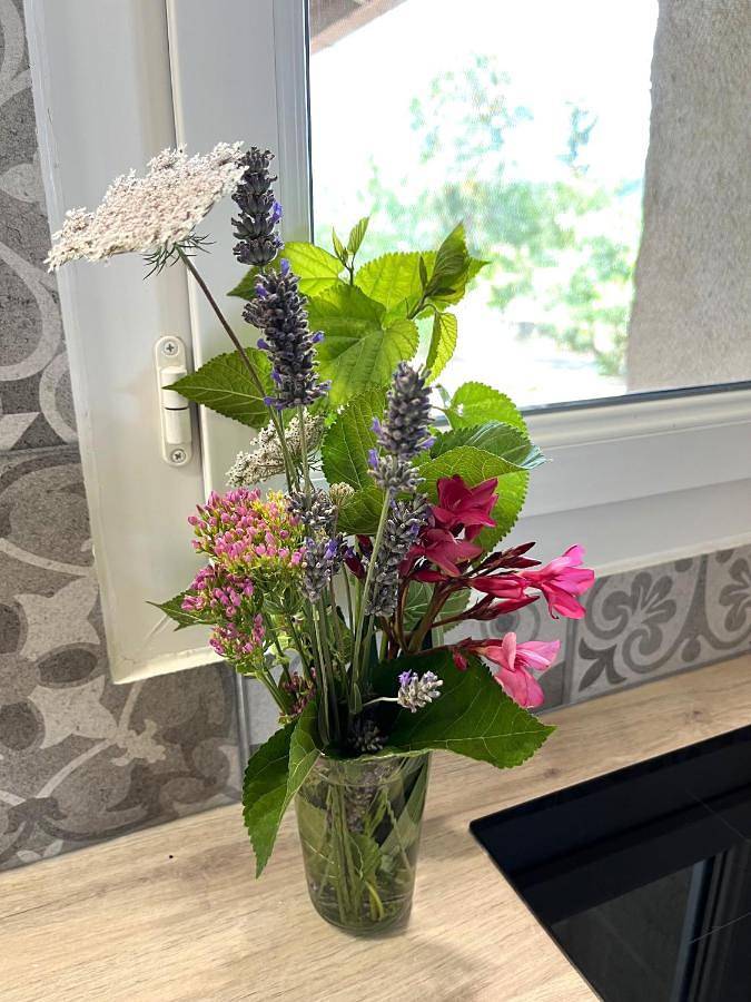 Gîte pour 3 personnes, avec vue et jardin, adapté aux familles à Camps-la-Source - 2