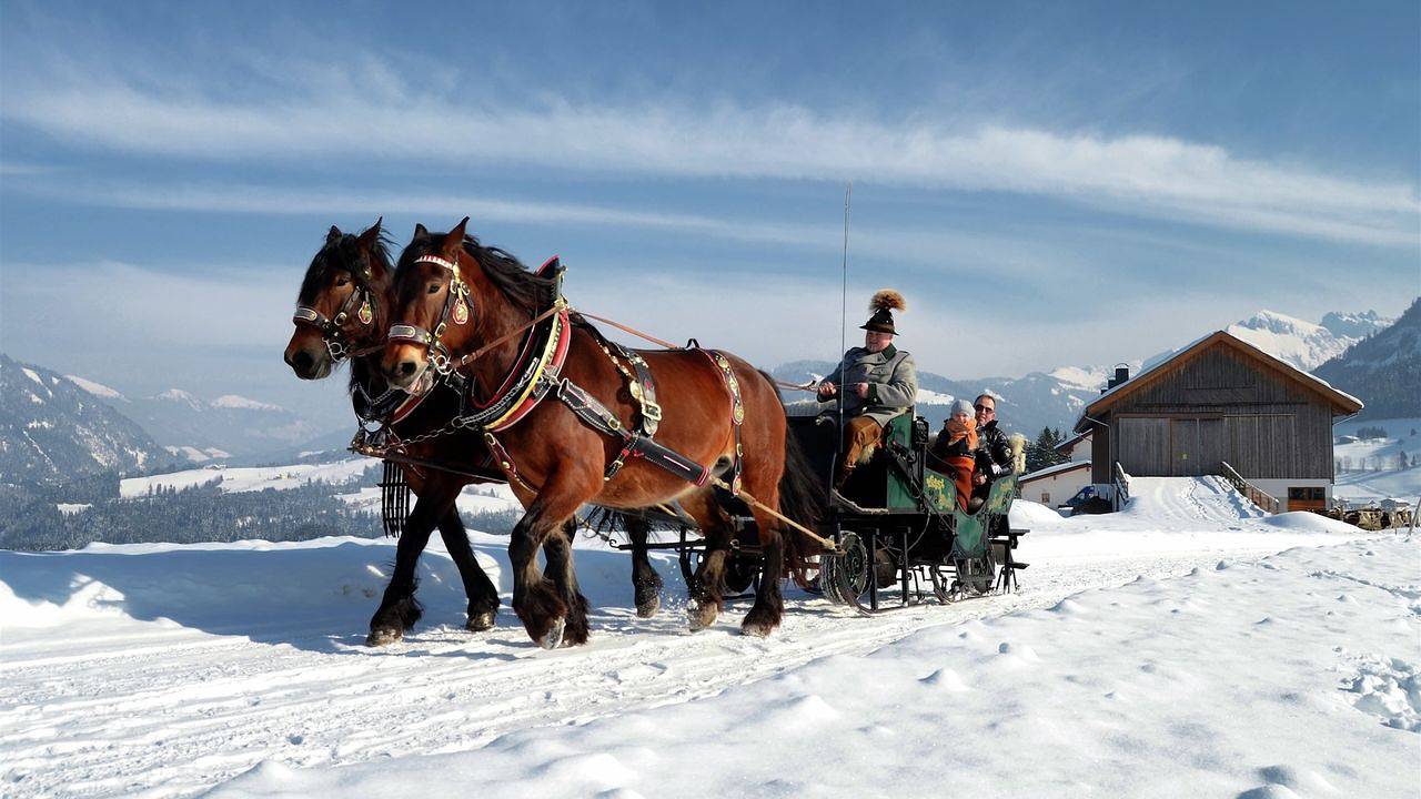 Ferienhaus für 5 Personen (48 m²) in Maria Alm am Steinernen Meer in Maria Alm am Steinernen Meer, Maria Alm