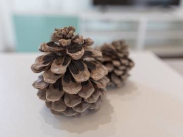 Ferienhaus in Inca, Mallorca Inselmitte für 4 