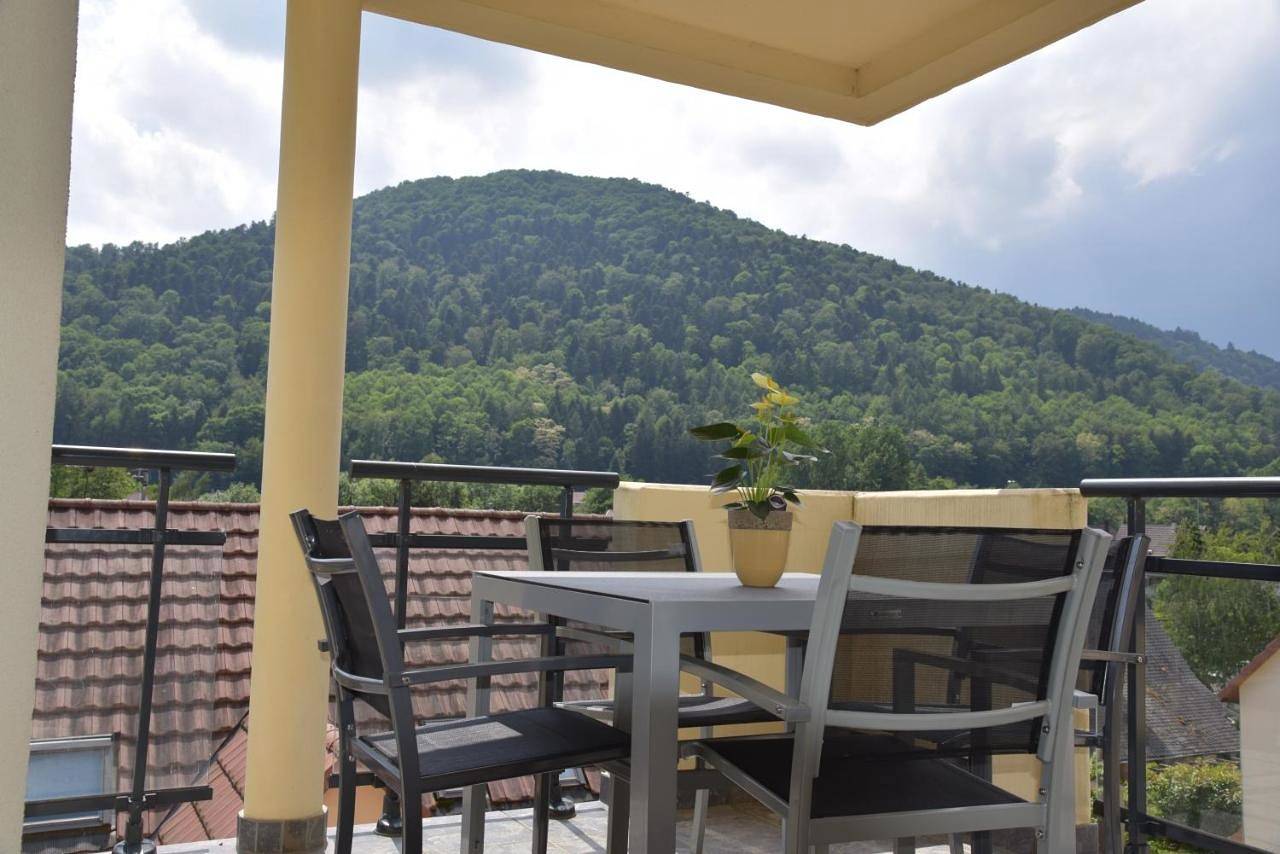 Appartement entier, Apartment with Mountain View in Kaysersberg, Parc naturel régional des Ballons des Vosges