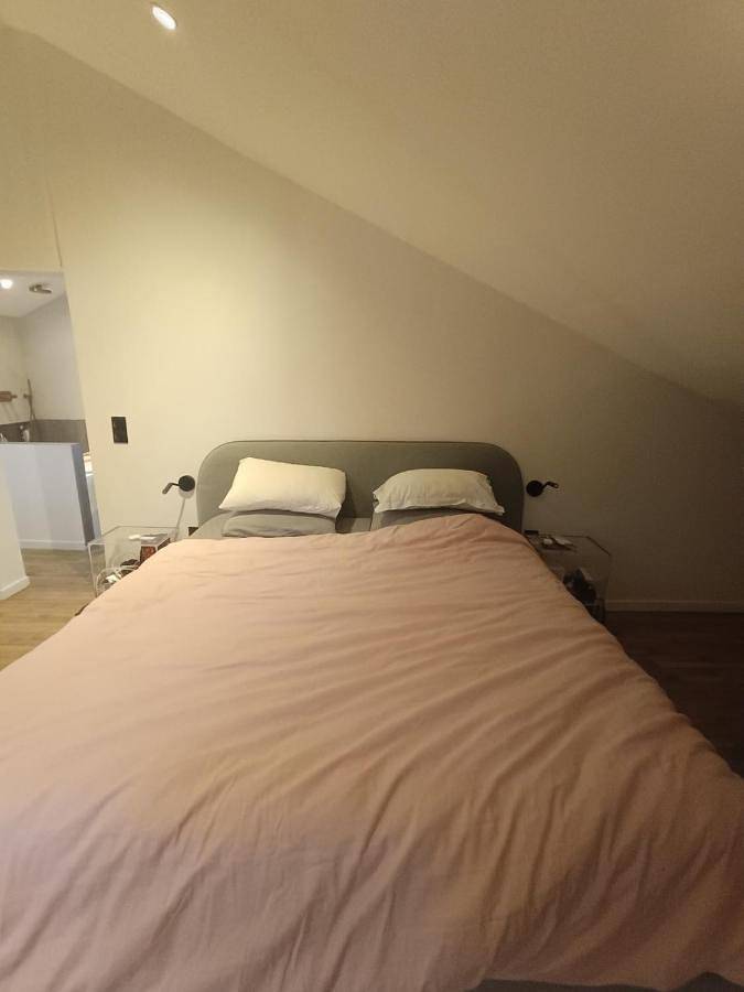 Designer House with Breathtaking View in Orry-la-Ville, Oise