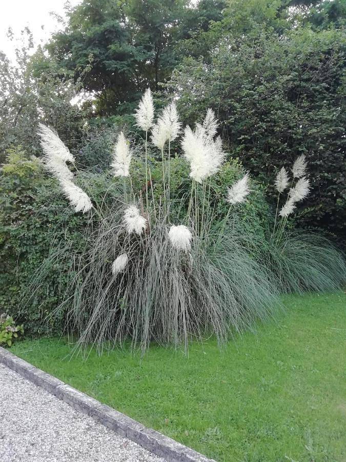 Gîte pour 2 personnes, avec jardin à Tracy-sur-Mer - 4