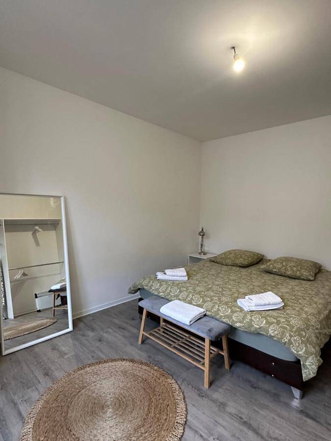 Gîte pour 6 personnes, avec jardin à Riedisheim - 3