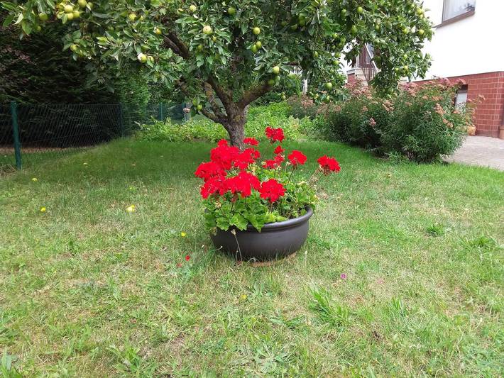 Ferienwohnung für 2 Personen, mit Terrasse und Garten in Neubukow-Salzhaff - 3