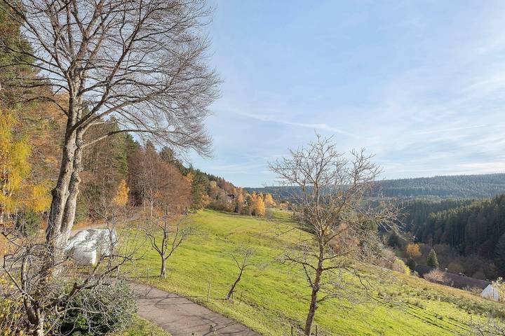 Gîte pour 4 personnes, avec jardin, animaux acceptés à Schramberg - 2