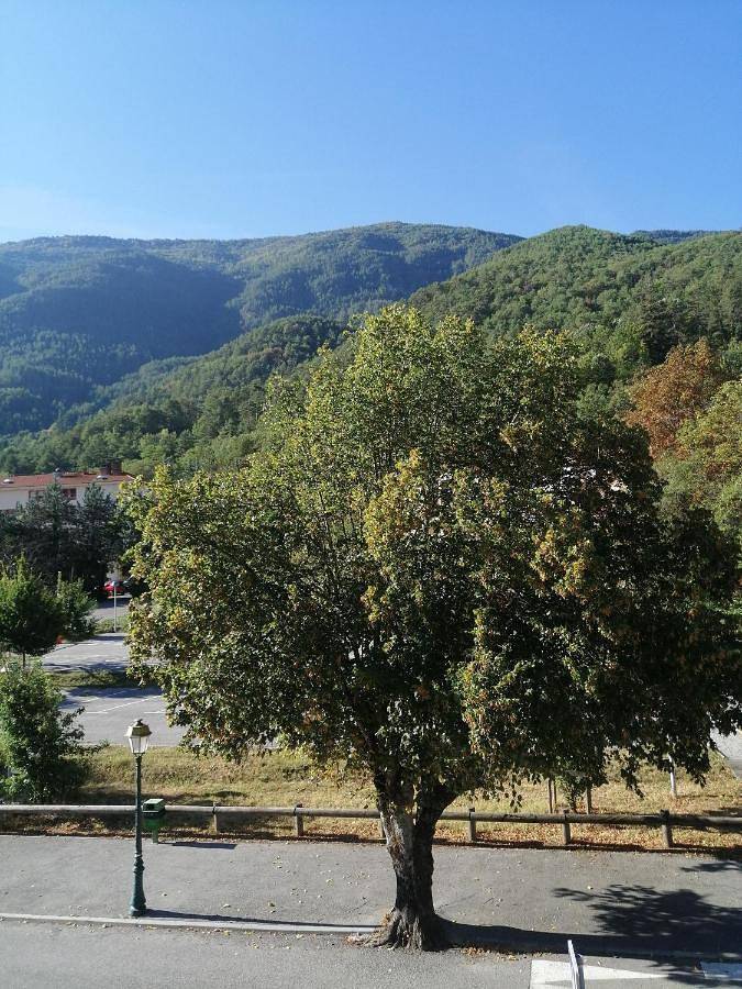 Gîte pour 3 personnes, avec jardin et vue à Puget-Théniers - 4
