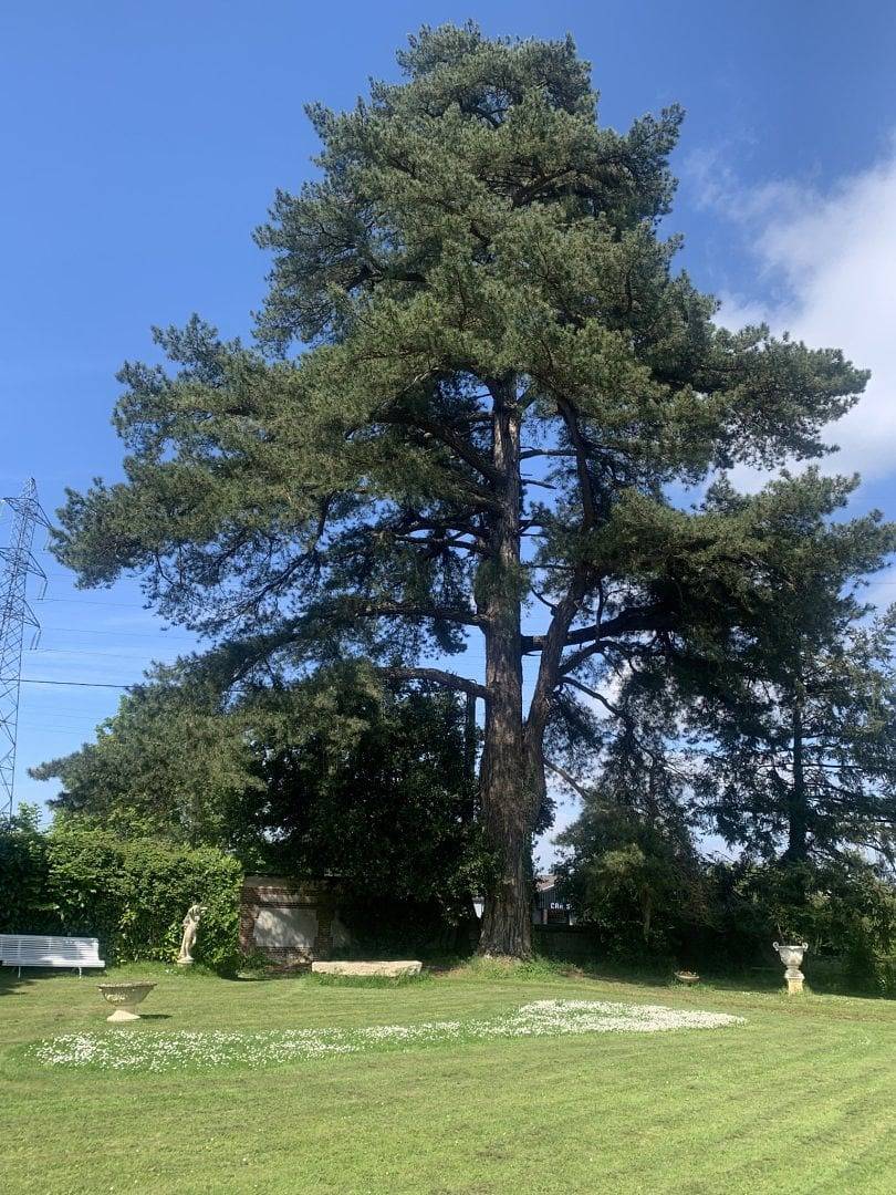 B&B Le Domaine des Forges - Bourgtheroulde in Saint-Ouen-de-Thouberville, Région de Bernay