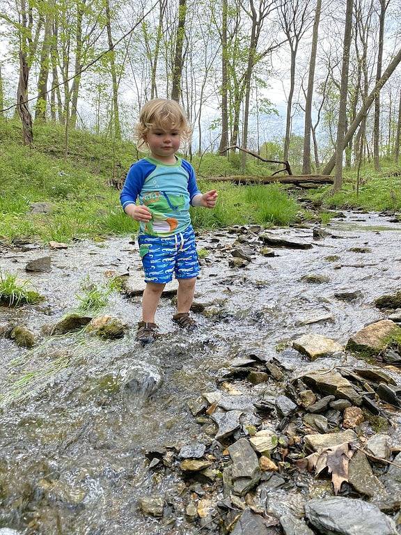 The Hideaway - 19 Private Acres to Explore in Dauphin County