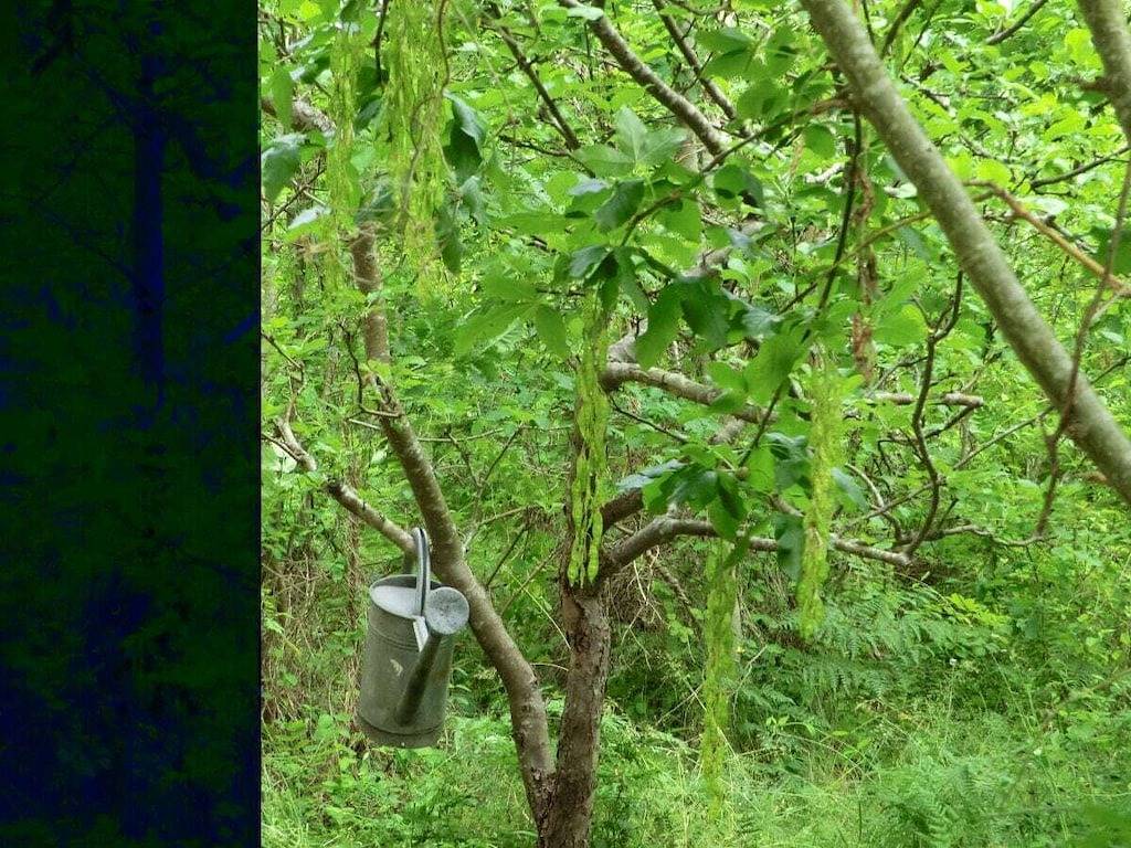 Petteerssonshus in Västervik und Umgebung