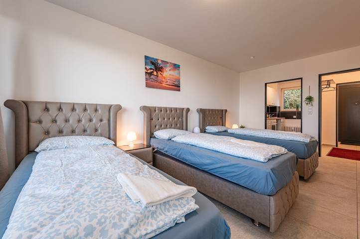 Ferienwohnung für 4 Personen in Naturpark Wildeshauser Geest