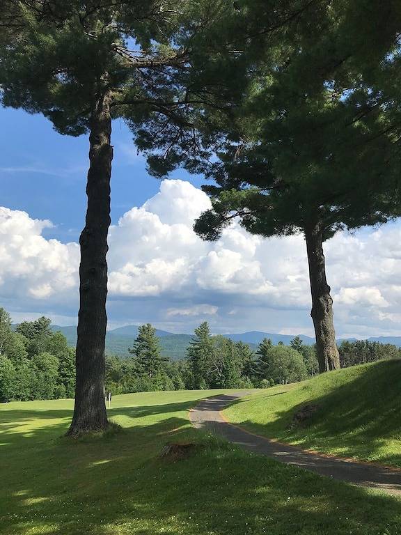 ★ Go-Cottage | 2 Bett | Wifi | Hof | Zu Fuß in die Stadt ★ in Lake Placid, Adirondack Mountains