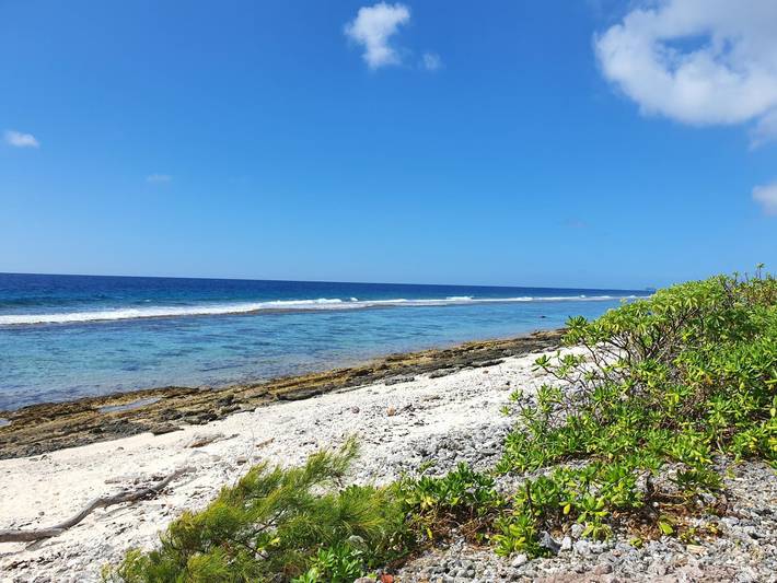 Location de vacances pour 4 personnes, avec jardin et balcon dans Mo'orea - 2