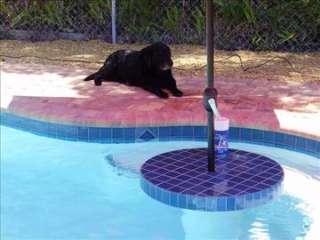 Vacation Home for 4 Guests in Anna Maria (FL), Anna Maria Island, Picture 1