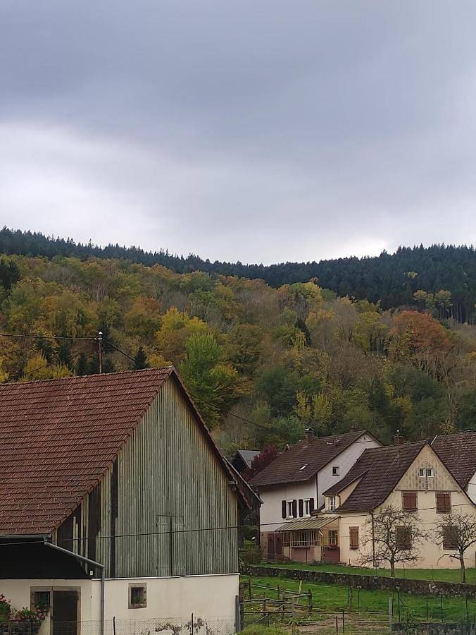 Appartement entier, Les studios du frankenthal in Stosswihr, Parc naturel régional des Ballons des Vosges