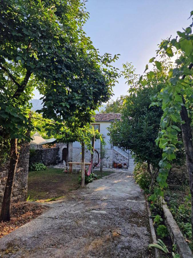 Maison d’hôte pour 4 personnes, avec vue et jardin, animaux acceptés dans Gjirokastër - 2