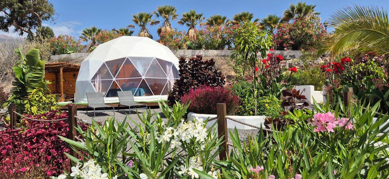 Tent in Arico Viejo, Arico