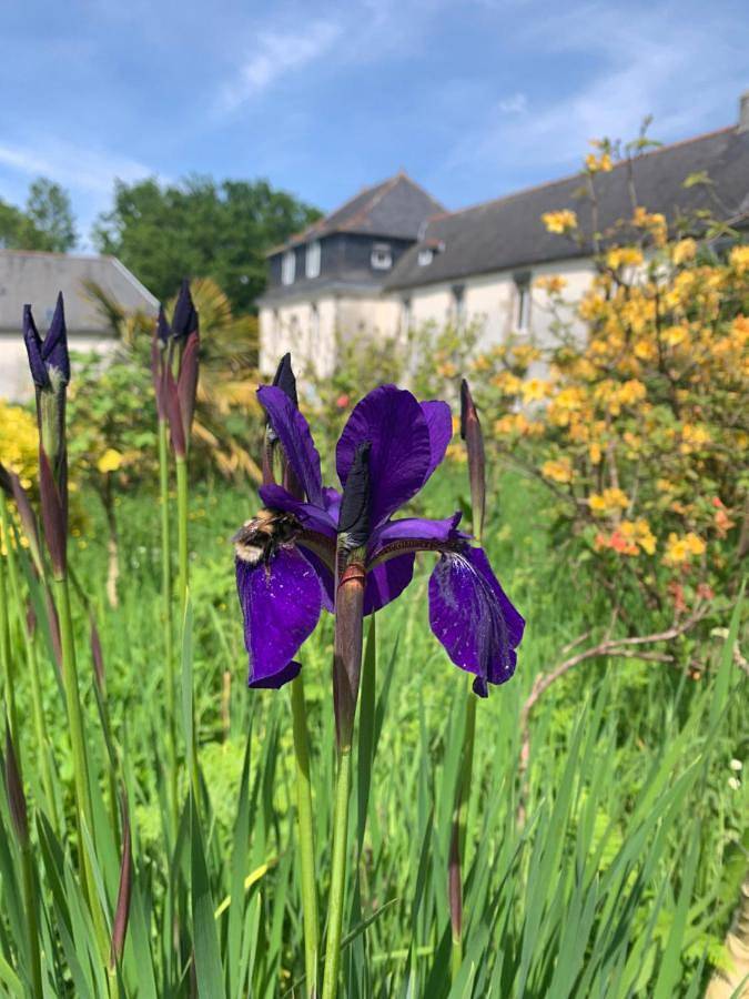 Location de vacances pour 11 personnes, avec jardin et vue, adapté aux familles à Saint-Derrien