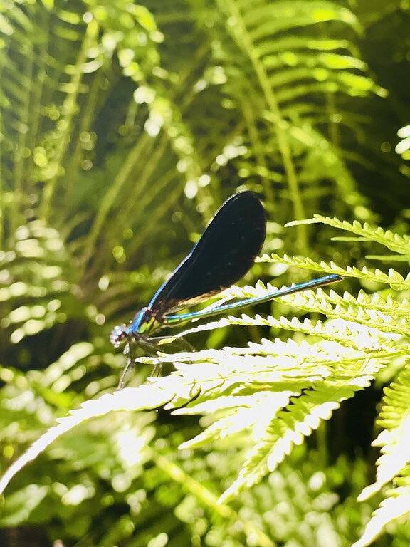 Pennsy Ridge Hideaway: Relax in our centrally-located wooded retreat w/ hot tub in Lancaster County