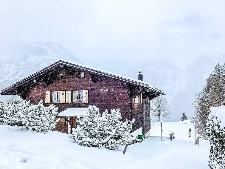 Appartement entier, 3 Pièces 4 Personnes in Grindelwald, Région de Grindelwald