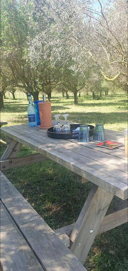 Chambre d’hôte pour 2 personnes, avec jardin ainsi que jacuzzi et terrasse à Le Cailar - 3