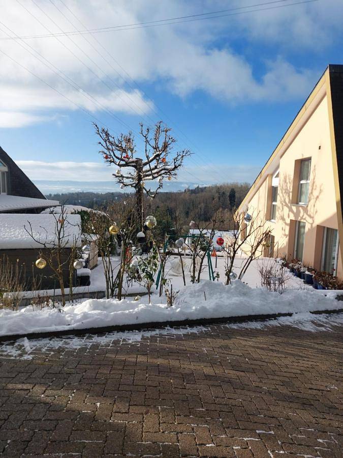 Appartement entier, Joli studio avec terrasse et vue Pour Non Fumeurs in Belmont-sur-Lausanne, Lac Léman