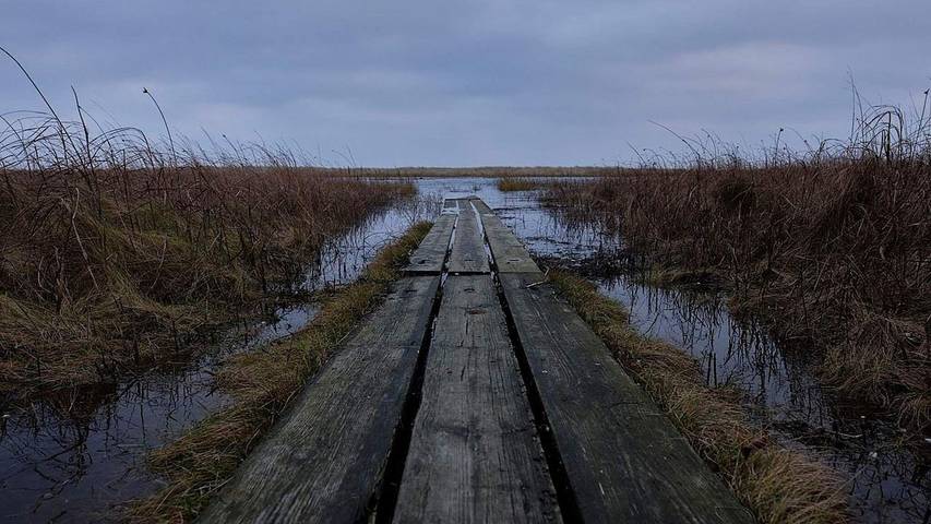 Ferienhaus für 7 Personen, mit Garten in Binderup Strand - 4
