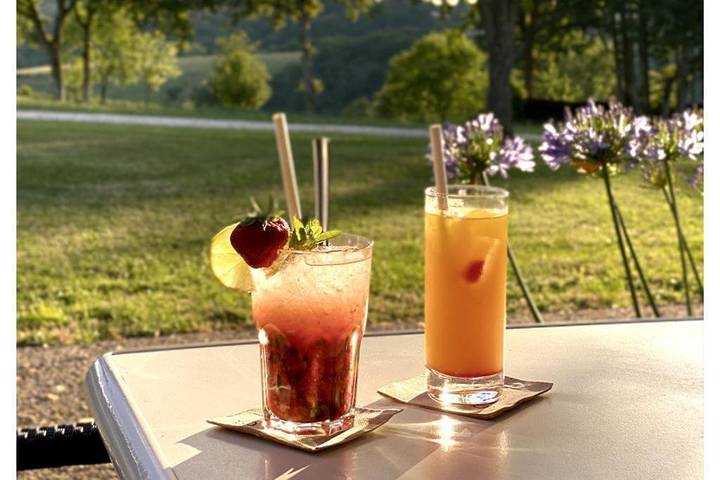 Club vacances pour 4 personnes, avec sauna ainsi que piscine et terrasse en Dordogne - 3