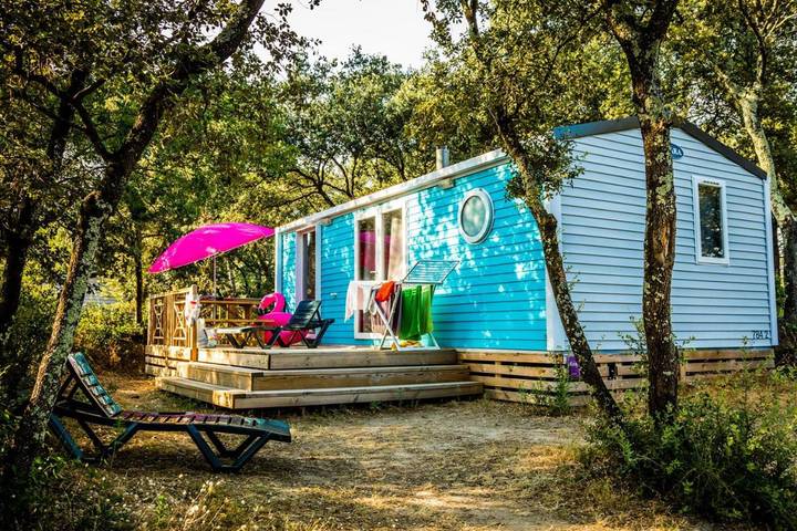 Location de vacances pour 6 personnes, avec piscine ainsi que bassin pour enfant et terrasse, animaux acceptés à Remoulins - 3