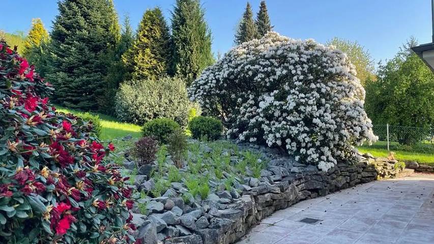 Ferienwohnung für 3 Personen, mit Garten in Zorge - 3