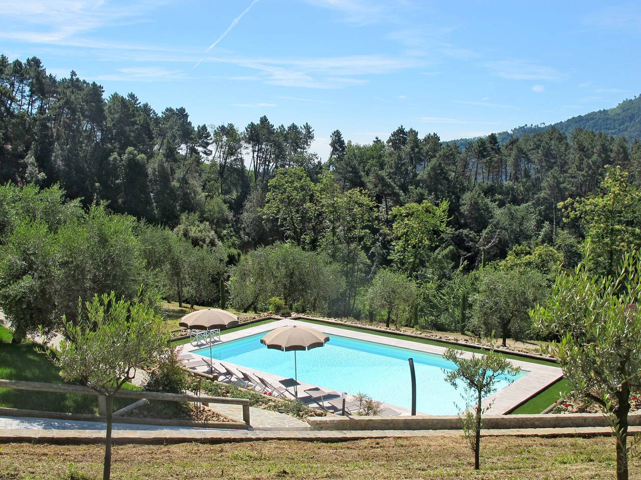  Olivo in Pescaglia, Lucca Province
