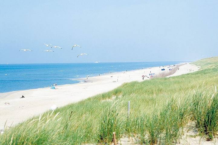 Ferienwohnung für 4 Personen, mit Haustier in Bergen (Nordholland)